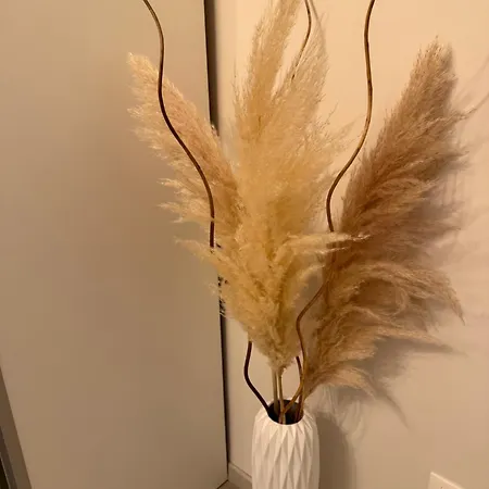 Ad Un Passo Dal Duomo