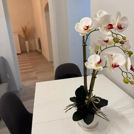 Ad Un Passo Dal Duomo *