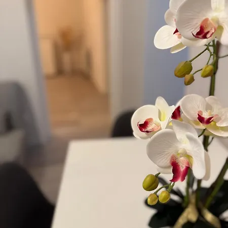 度假居 Ad Un Passo Dal Duomo *