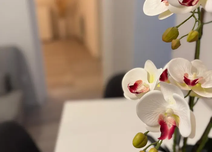 Holiday home Ad Un Passo Dal Duomo *